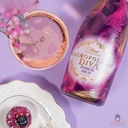 ruou-vang-hoa-qua-cosmopolitan-diva-passion-fruit-fusion-gia-tot.jpg