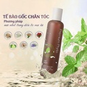dau-goi-ampleur-premium-phyto-hair-wash-n-260ml-gia-tot.jpg