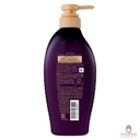 dau-goi-tsubaki-premium-ex-450ml-tim.jpg