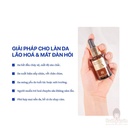 serum-chong-lao-hoa-ampleur-luxury-de-age-rejulution-32ml-tot.jpg