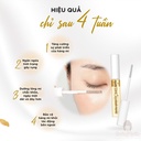 tinh-chat-duong-dai-mi-dhc-eyelash-tonic-6-5ml-gia-tot.jpg