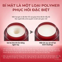 kem-duong-te-bao-goc-tao-harinista-50g-chinh-hang.jpg