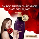 dau-goi-tsubaki-premium-ex-450ml-tim-gia-re.jpg