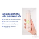 dau-xa-ampleur-premium-phyto-hair-conditioner-n-260ml-re.jpg