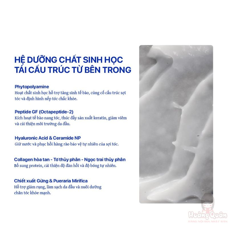dau-xa-ampleur-premium-phyto-hair-conditioner-n-260ml-chat-luong.jpg