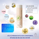 dau-xa-ampleur-premium-phyto-hair-conditioner-n-260ml-re-nhat.jpg